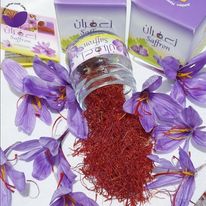 Saffron Bulbs in Jordan