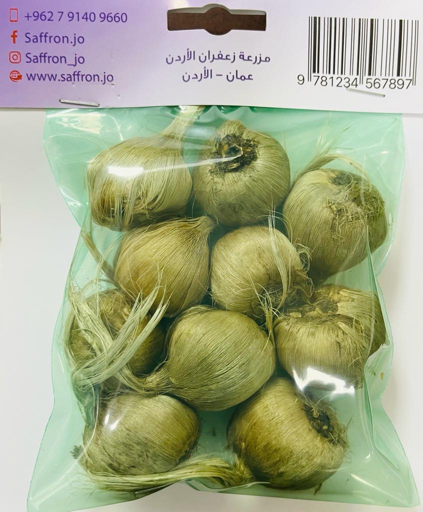 Saffron Bulbs in Jordan