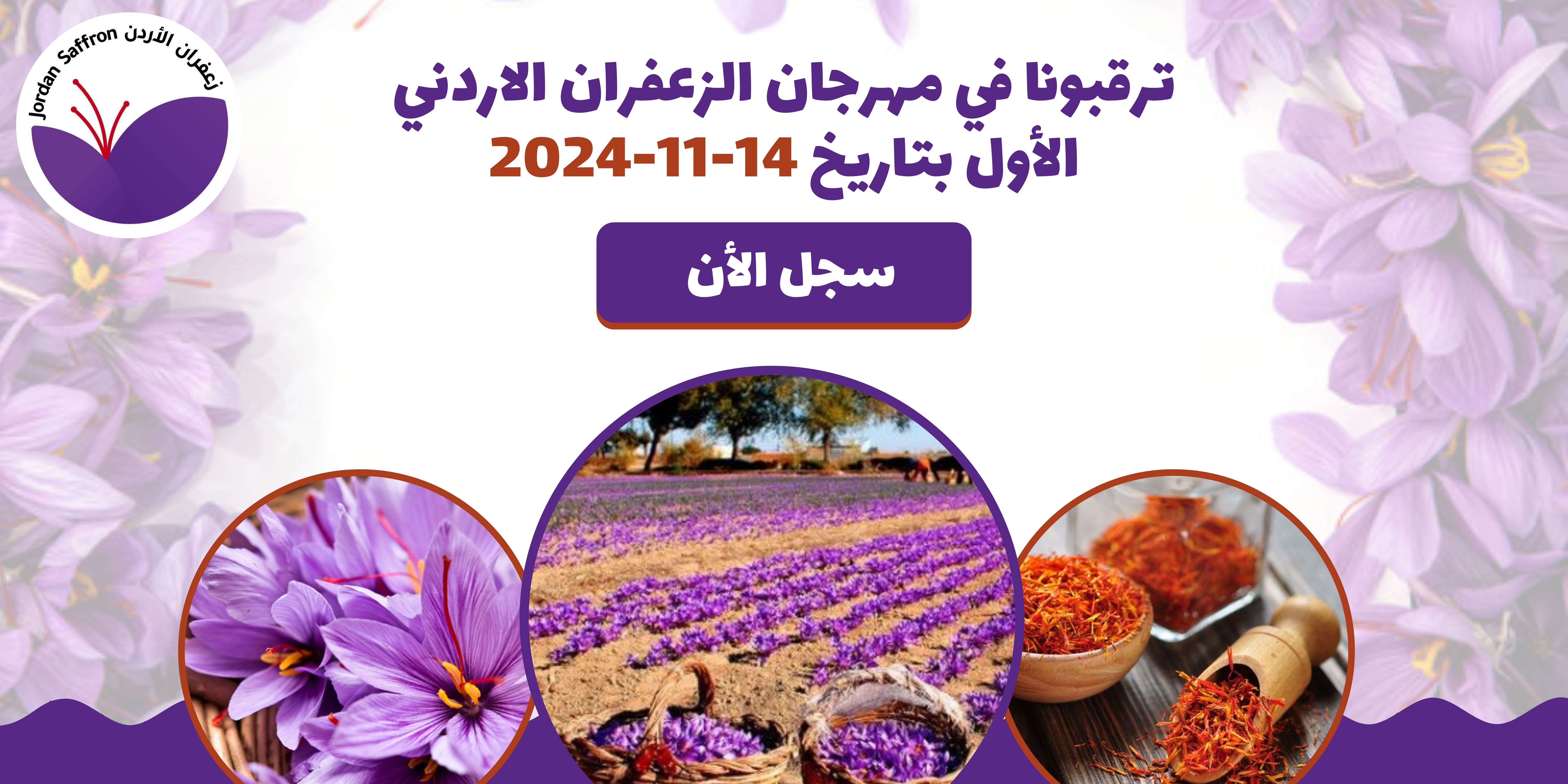 Saffron Bulbs in Jordan